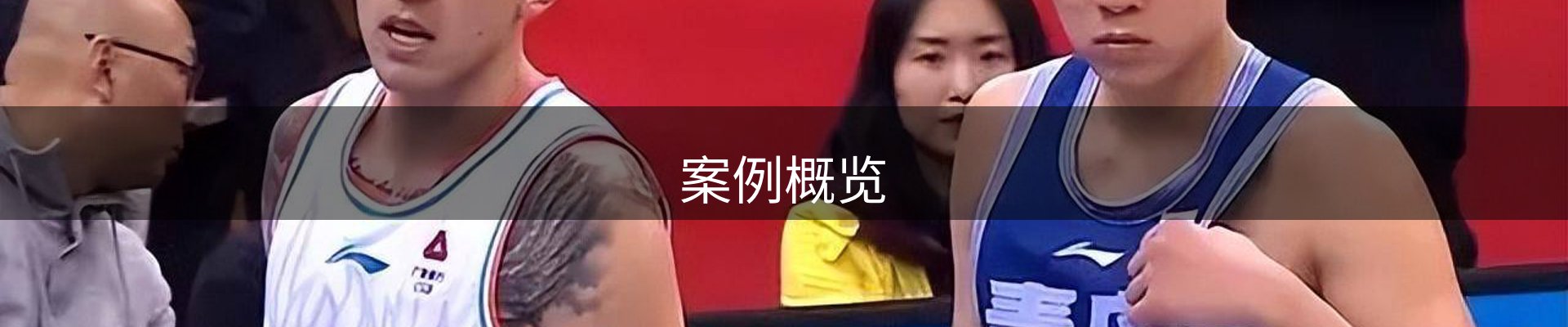 案例概览
